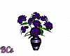 Carnation in Vase Purple