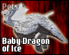 Baby Dragon of Ice