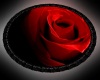 D_Dark Rose