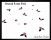 Ground Roses Pink