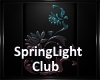 [BD]SpringLightClub