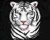 white tiger 6 sounds