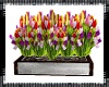 *Ish*Tulips Flower Box  