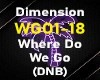 Where Do We Go DNB