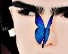 Blue butterfly 🦋