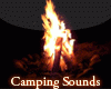 Camping Ambiance