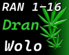 Dran - Wolo