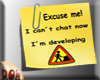 Excuse me i´m developing