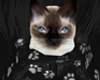 I Love Kittens!!