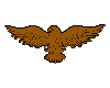 3D Eagle