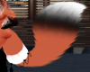 Foxy tail V3