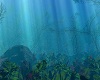 Under Sea Surround