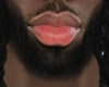Asteri Beard #029