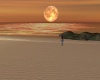 {LS} Full Moon Island
