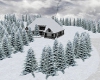 Winter Mountain Home