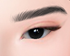 eyebrows L
