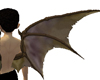 Josevi´s bat wings