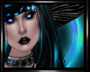 MD Support Banner 24