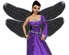 Star Fairy Wings