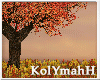 KYH | Autumn fall