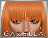 G* JENNY GINGER