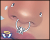 SEPTUM V1