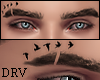 Eyebrows Birds [DRV]