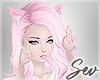 Pink Kitty Cat Lolita Bundle Set Kawaii and Cute