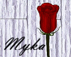 Rosa ❀ Animated