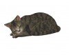 Sleeping Cat II