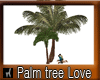 Palm Tree Love