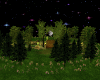 FOREST NIGHT