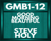 steve holy GMB1-12
