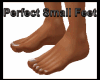Perfect Nail Small Feet