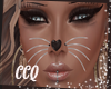 [CCQ]Meow Whiskers