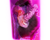 RumiJinu Eternal Kiss