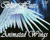Blue Hues Anim. Wings