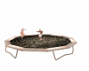 Gym Trampoline