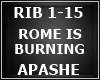 APASHEROMEISBURNING