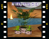 kitts plants