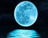 moonlight kissing
