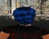Blue ebony hairstyle