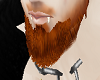 ginger auburn beard