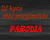 Dj Lysy- Moj przyjacielu