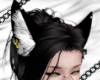 Pierced Wolf Ears