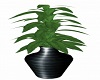 Deco Vase w/Palm