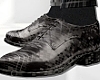 Silver Shoes