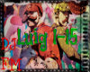 Luigis mansion HD