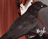 M. Dark Raven