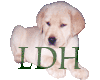 LDH Pokey Puppy